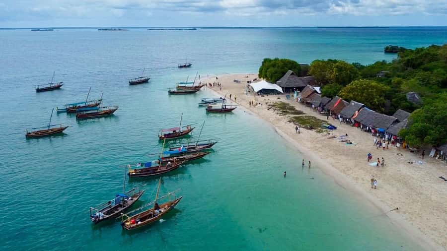 From Zanzibar: Safari Blue Snorkeling Trip with Lunch - Practical tips for a smoother day