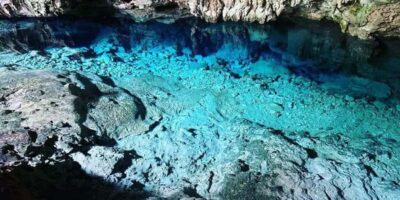 Starfish, Blue Lagoon, & The Rock Restaurant