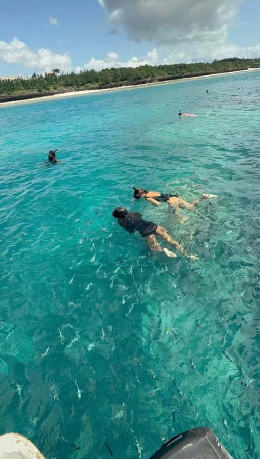 From Zanzibar: Starfish, Blue Lagoon, & The Rock Restaurant - Practical ways to make the day better