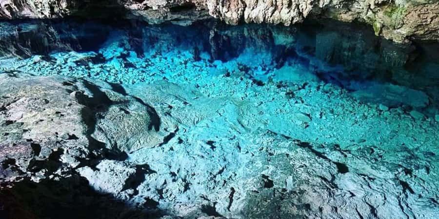 From Zanzibar: Starfish, Blue Lagoon, & The Rock Restaurant - Starfish Beach and the ethics of a perfect photo
