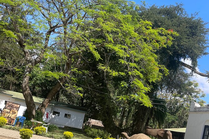 Full Day Arusha City Tour - Boma Museum and the National Natural History Museum