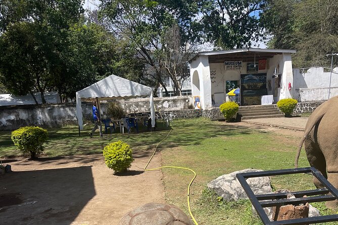 Full Day Arusha City Tour - The Tanzanite Experience and the story of a rare stone