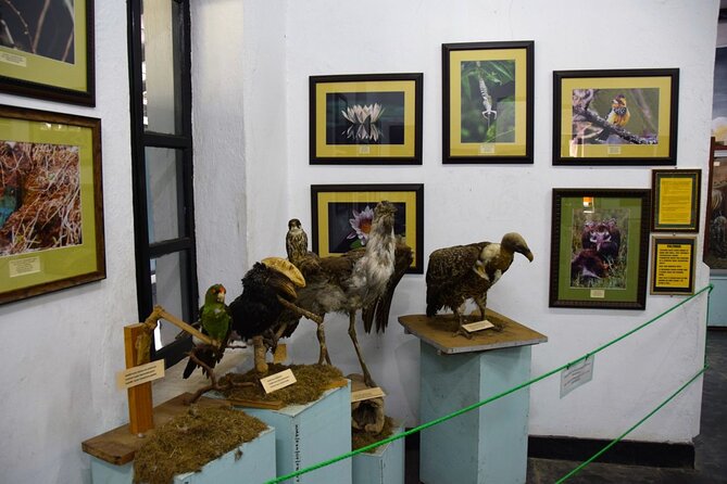 Full Day Arusha City Tour - What $100 buys you
