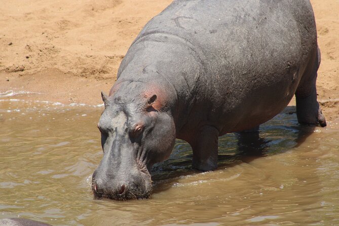 Full-Day Ngorongoro Crater private tour - Who will get the most from this tour