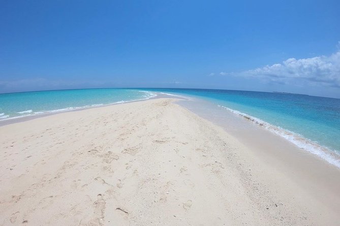 Full-day Prison Island and Nakupenda Sandbank with Lunch buffet - Why this Zanzibar day works so well