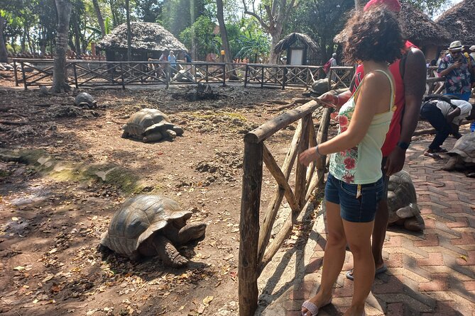 Full-day Prison Island, Nakupenda and Stone Town Tour with Lunch Buffet - Who will enjoy this day most
