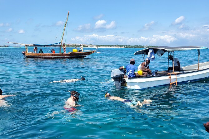 Full Day Private Safari Blue Sea Adventure in Zanzibar - The mangrove lagoon and natural swimming pool