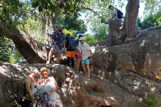 Full Day Private Safari Blue Sea Adventure in Zanzibar - Barbecue lunch with vegetarian choices
