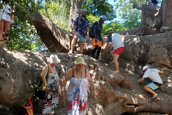 Full Day Private Safari Blue Sea Adventure in Zanzibar - Timing, weather, and the trip back