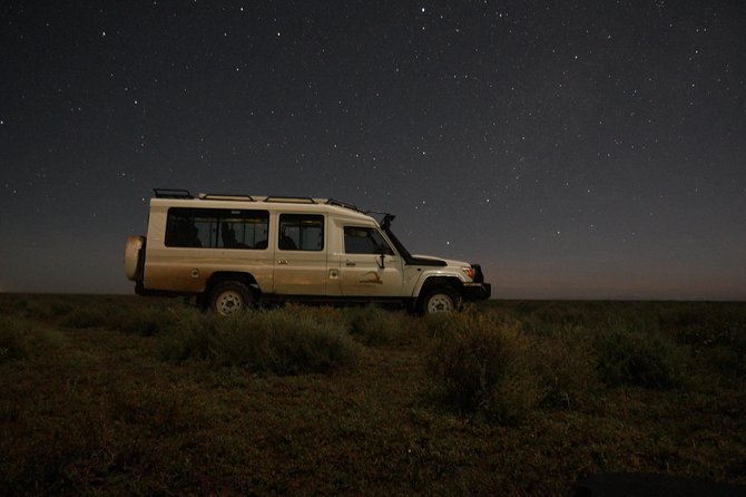 Full-Day Private Serengeti Safari from Mwanza - Why the private format matters