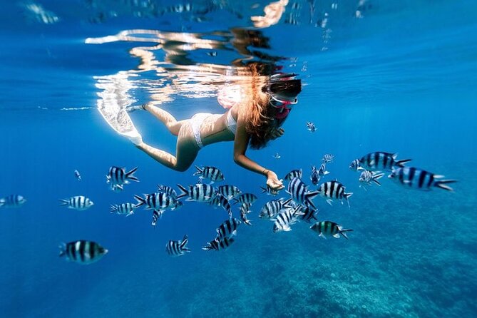 Full Day Private Zanzibar Tour with Sunset Beach - Kendwa Beach and a three-hour sunset finish