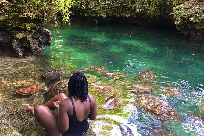 Full Day Private Zanzibar Tour with Sunset Beach - Mnemba Island snorkeling for two hours