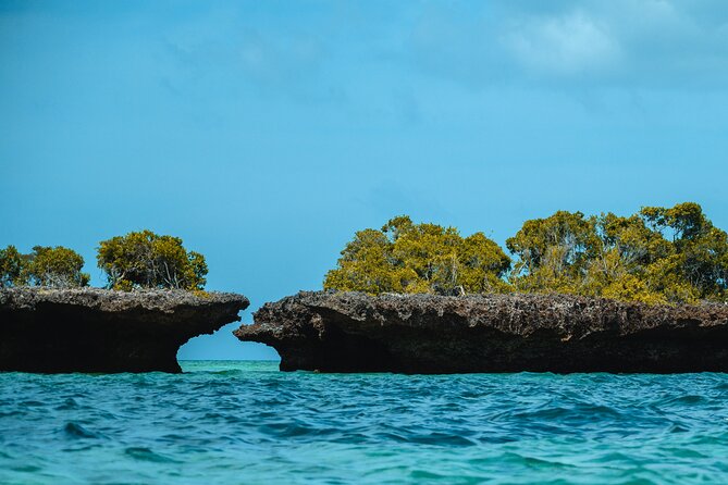 Full Day Safari Blue Zanzibar - Snorkeling near a mangrove island