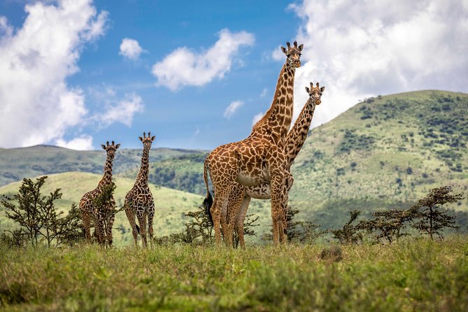 Full Day To Arusha National Park - Arusha National Park: small in size, broad in scenery