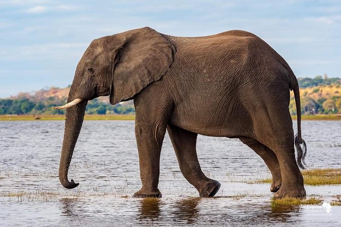 Full Day To Arusha National Park - The walking safari with an armed ranger