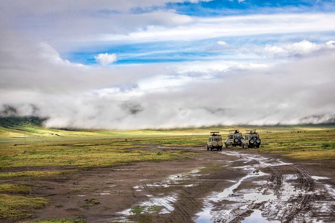 Full Day To Arusha National Park - Mount Meru and the park’s human connections