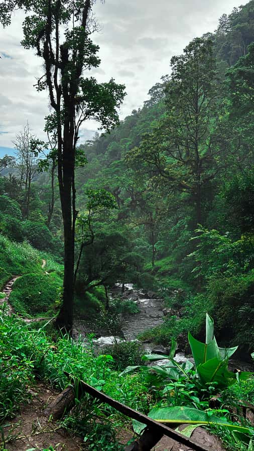 Full day visit to hotsprings, waterfalls and coffee tour - Walking to Materuni Waterfall