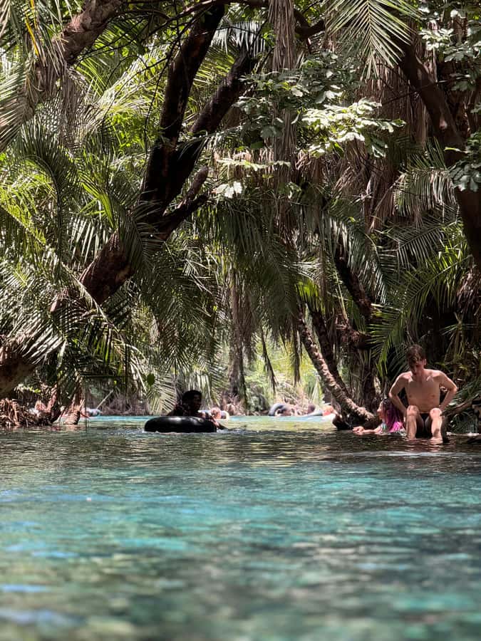 Full day visit to hotsprings, waterfalls and coffee tour - Who will enjoy this most