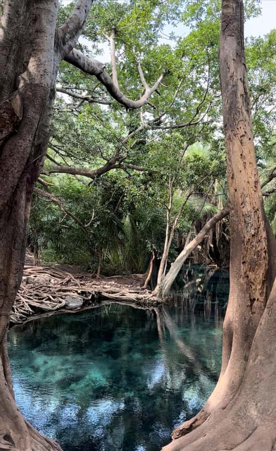 Full day visit to hotsprings, waterfalls and coffee tour - What to pack and how to prepare
