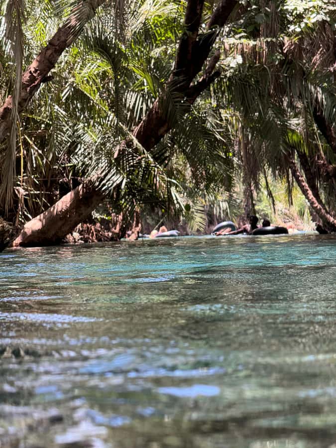Full day visit to hotsprings, waterfalls and coffee tour - The main strengths and limitations