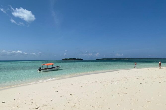 Fullday trip to Pungume and Uzi Island for Snorkeling and more - Key things to know before you book
