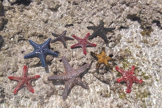 Fullday trip to Pungume and Uzi Island for Snorkeling and more - Pungume Sandbank turns lunch into the main event