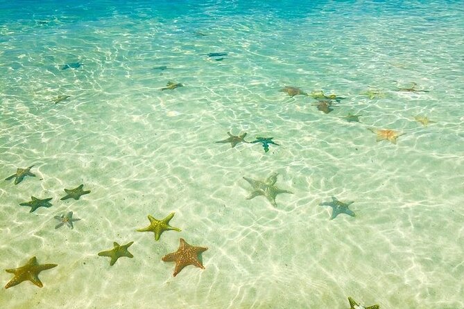 Fullday trip to Pungume and Uzi Island for Snorkeling and more - The Mnemba name needs clarification