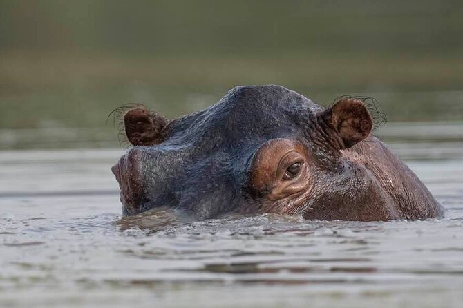 Great Migration Safari In Tanzania - Day 3: Crossing Ngorongoro toward northern Serengeti