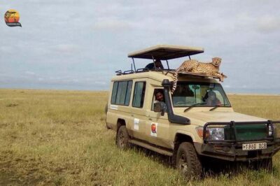 Group Safari 7 Days in Tanzania’s Main Parks