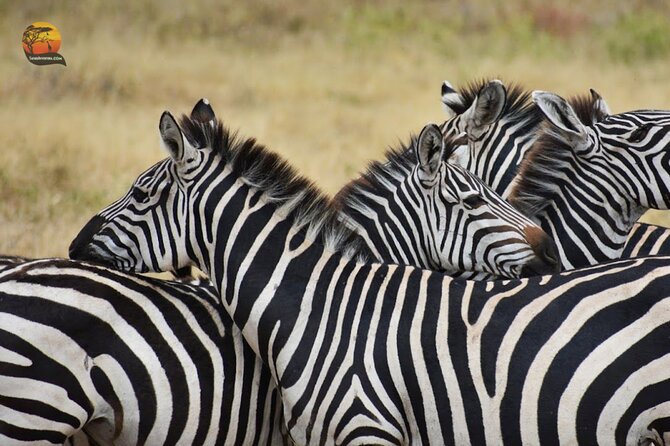 Group Safari 7 Days in Tanzania's Main Parks - Is $3,000 per person good value?