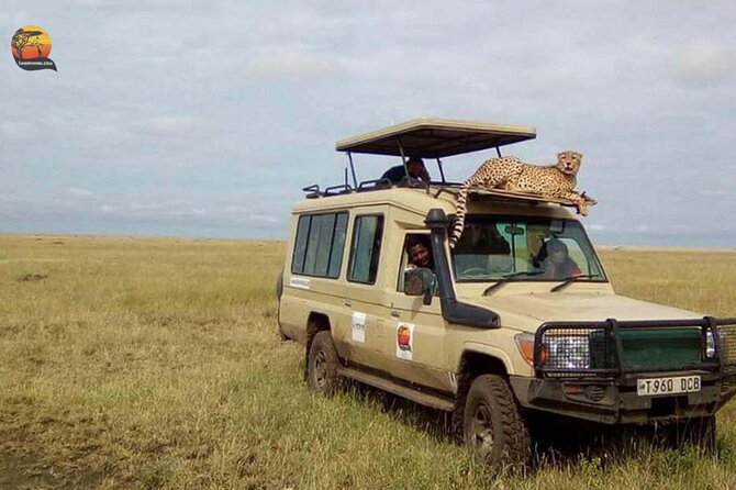 Group Safari 7 Days in Tanzania's Main Parks - Lake Manyara brings variety early