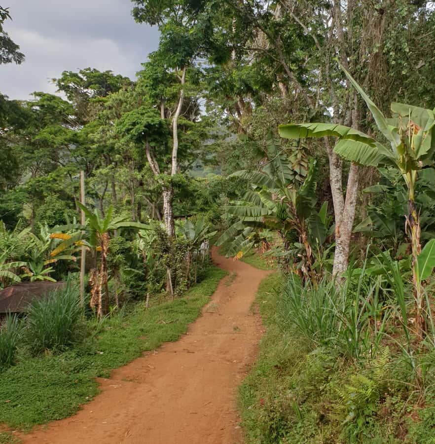Guided Mountain Bike Tour through Arusha Village - Cycling through Patandi village