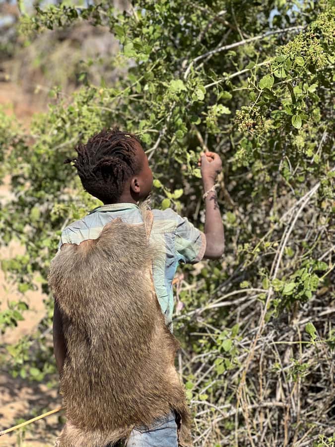 Hadzabe and Datoga Cultural Experience Day Trip - What the private format adds