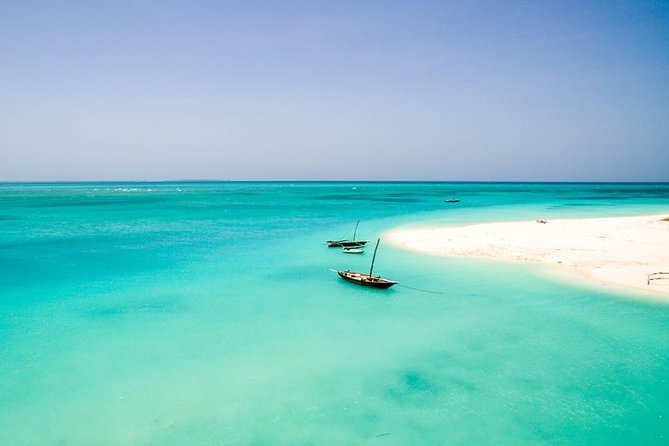 Half-Day Dolphin & Snorkeling Tour in Mnemba Island Zanzibar - Dolphins, sea turtles, and starfish