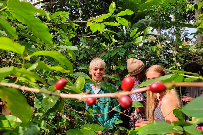 Hidden Arusha Waterfall, Coffee & Village Tour (All-Inclusive) - Five details that make this Arusha tour worthwhile