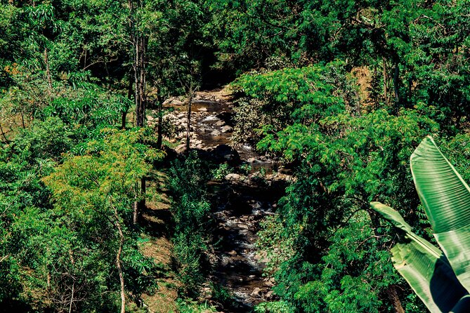 Hidden Arusha Waterfall, Coffee & Village Tour (All-Inclusive) - Stop five: the broad view from Akheri