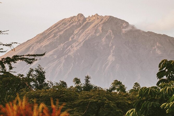 Hidden Arusha Waterfall, Coffee & Village Tour (All-Inclusive) - Private guiding and the pace of the day