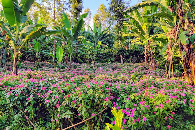 Hidden Arusha Waterfall, Coffee & Village Tour (All-Inclusive) - Timing, meeting point, and what to plan