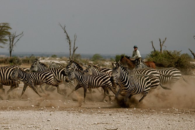 Horse safaris in Tanzania - Key points before you book