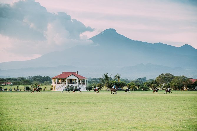Horse safaris in Tanzania - Meeting the horses and choosing your pace
