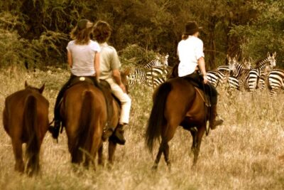 Horse safaris in Tanzania