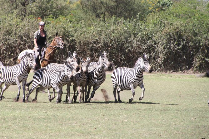 Horse safaris in Tanzania - The value of a $120 horseback safari