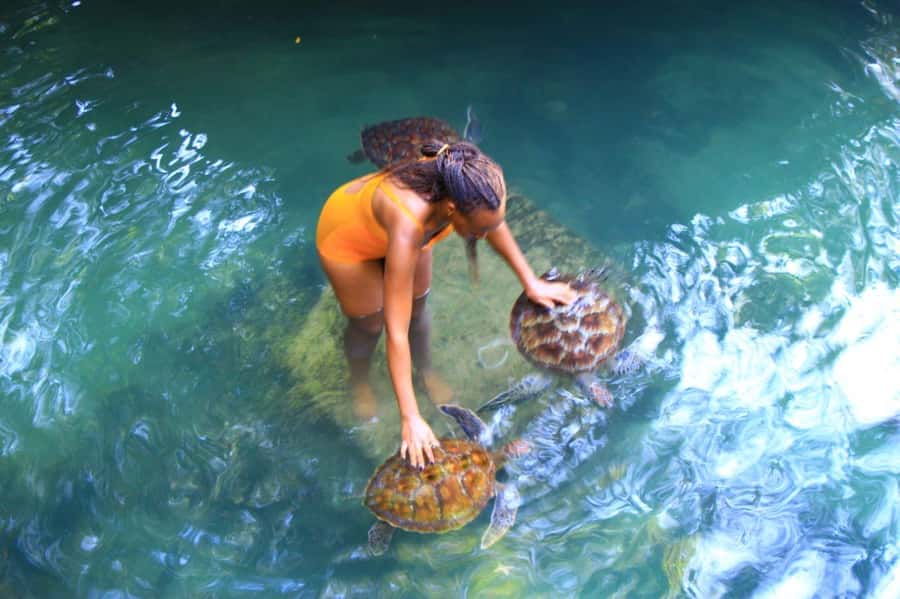 Joazani forest & Spice farm with lunch - Who will enjoy this outing most?
