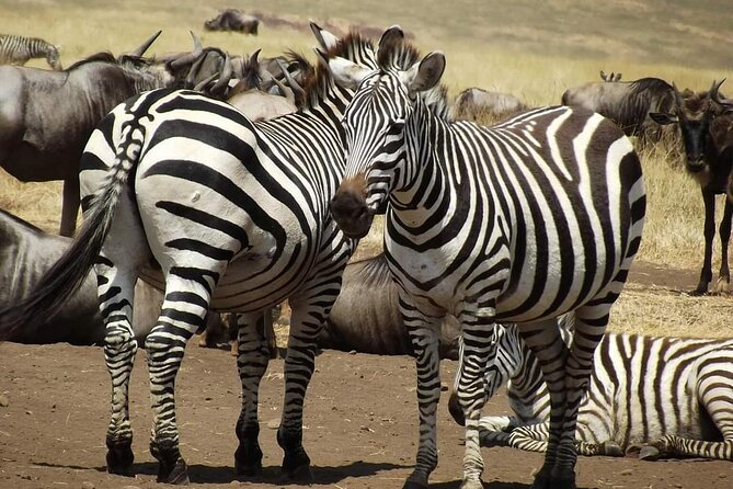 Joining Safari from Mwanza - Key points to know before booking