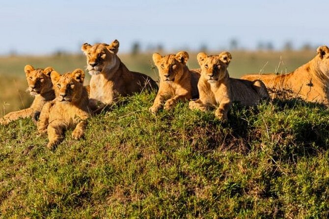 Joining Safari from Mwanza - Why three days from Mwanza can work