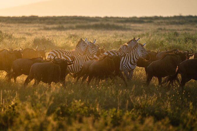 Joining Safari from Mwanza - What the $920 price is buying