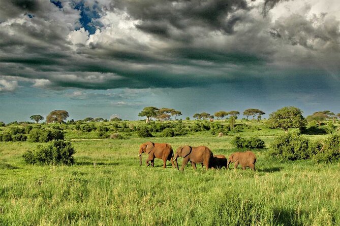 Joining Safari from Mwanza - Who should book this safari?