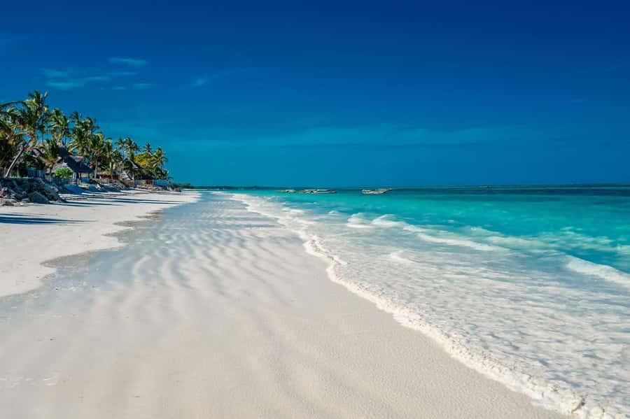 Jozani Forest, Horse-riding Tour, The Rock Lunch, Paje Beach - Who should book this private Zanzibar tour?