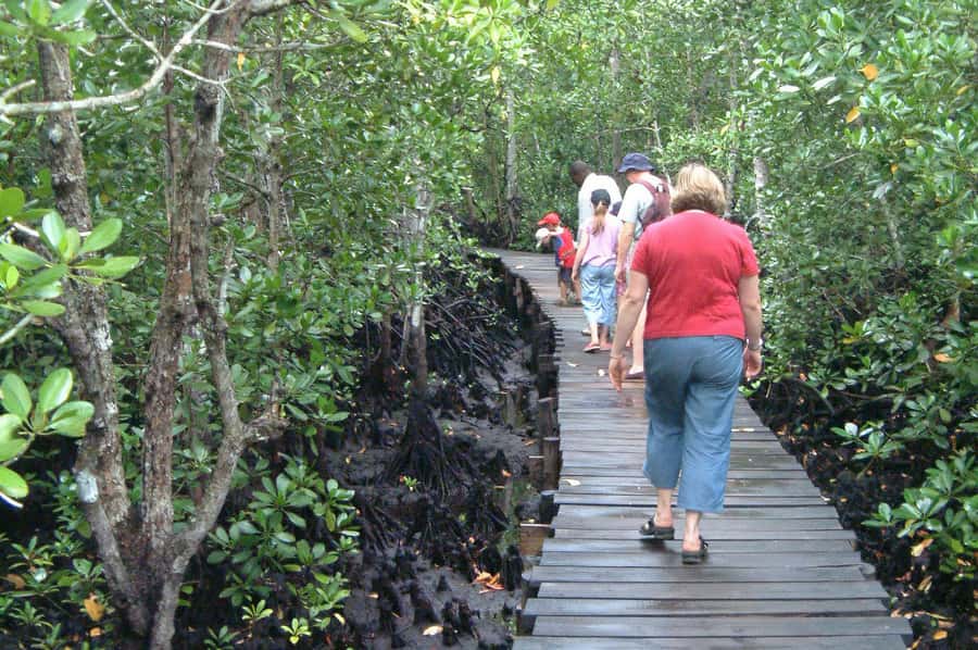 Jozani Forest, kuza cave and mtende beach - Who will enjoy this Zanzibar combination tour?