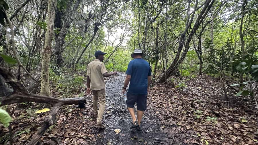Jozani Forest,kuza cave and the rock restaurant - Who should book this Zanzibar day trip?